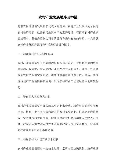 农村产业发展思路及举措