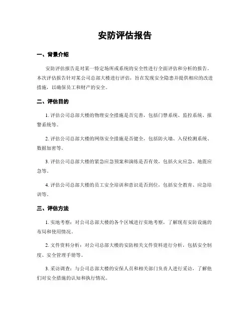 安防评估报告