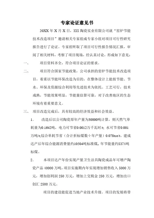 专家论证意见书