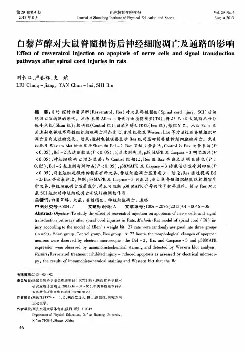 白藜芦醇对大鼠脊髓损伤后神经细胞凋亡及通路的影响