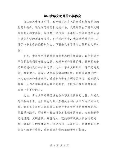 学习青年文明号的心得体会