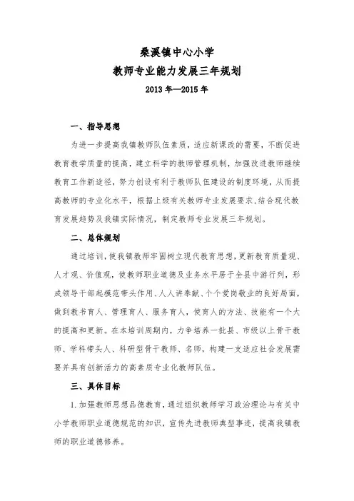 2013教师专业发展规划