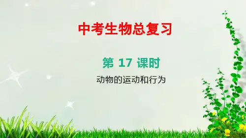 北京中考生物总复习——第17课时 动物的运动和行为