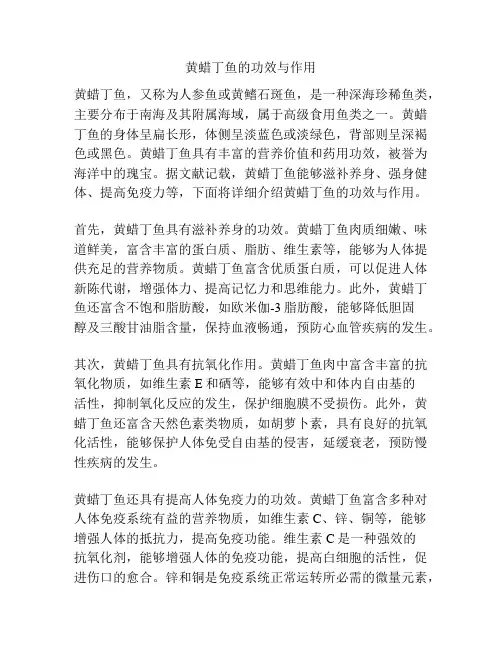 黄蜡丁鱼的功效与作用