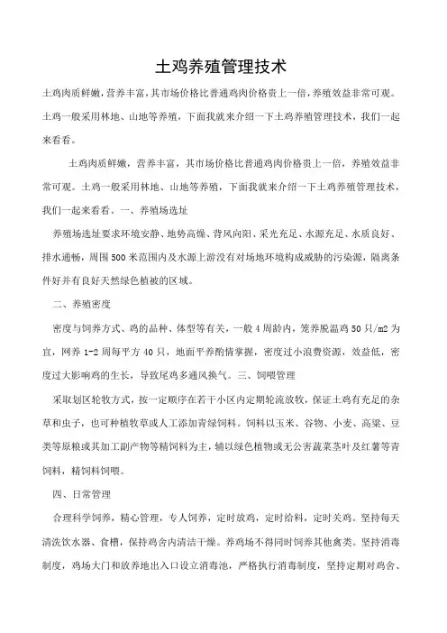 土鸡养殖管理技术