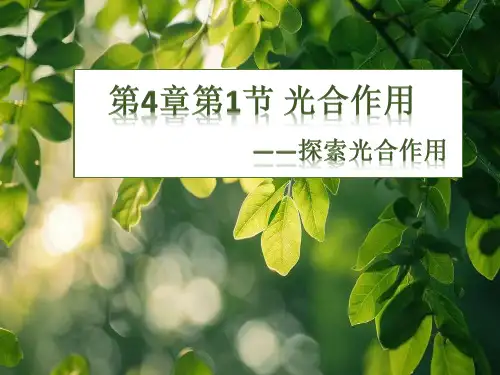 光合作用ppt课件