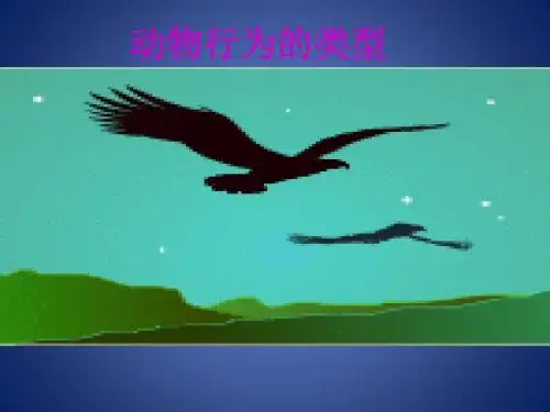 《动物行为的类型》课件3(14页)(冀教版八年级上)