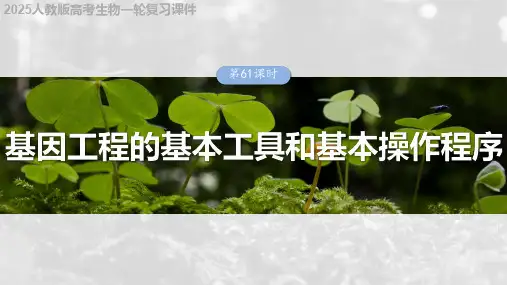 2025人教版高考生物一轮复习课件  第十单元 第61课时 基因工程的基本工具和基本操作程序