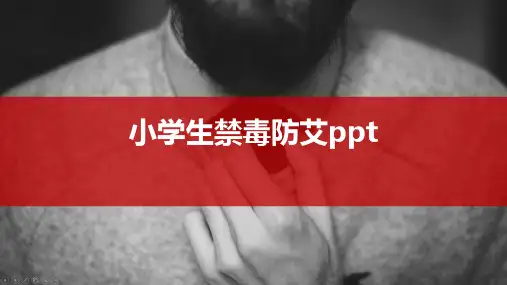 小学生禁毒防艾ppt