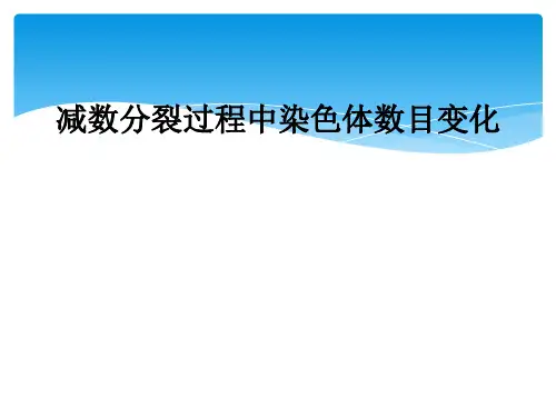 减数分裂过程中染色体数目变化