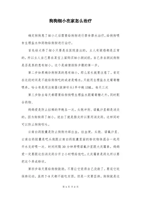 狗狗细小在家怎么治疗