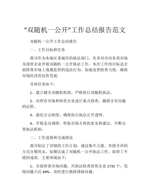 “双随机一公开”工作总结报告范文