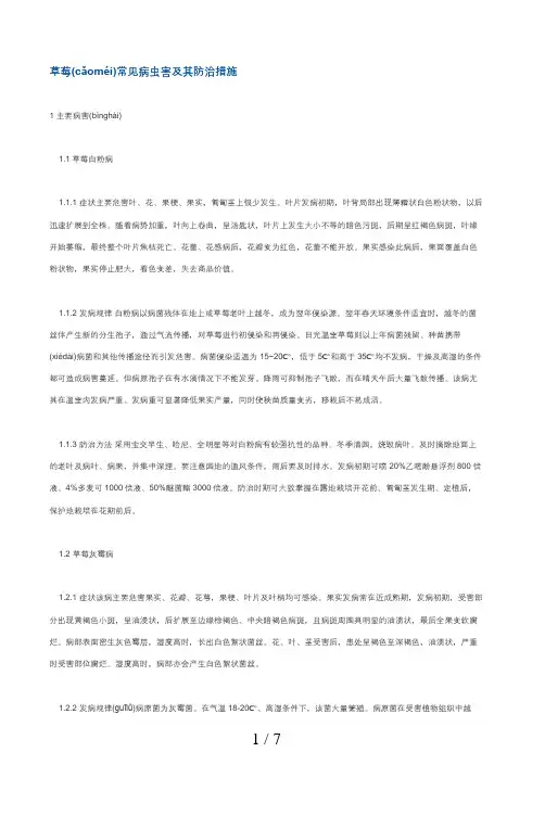 草莓常见病虫害及其防治措施