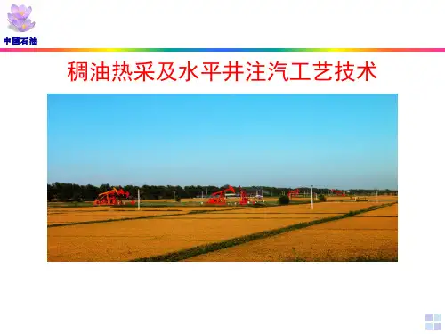 稠油热采及水平井注汽 ppt课件