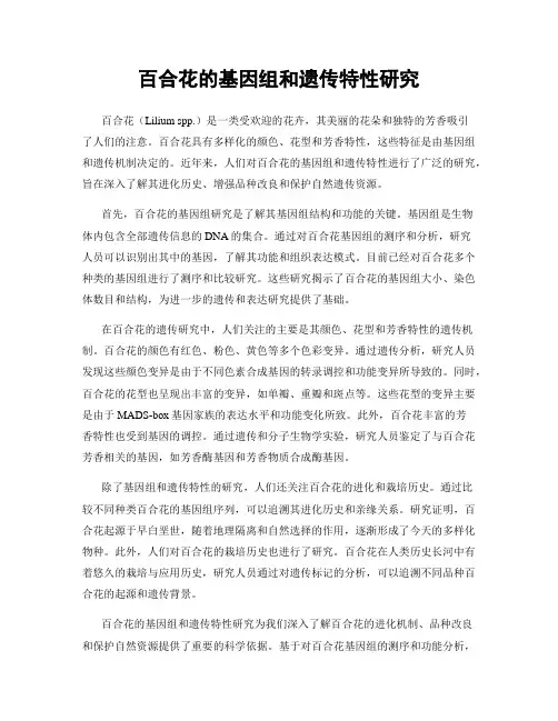 百合花的基因组和遗传特性研究