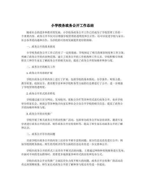 小学校务政务公开工作总结