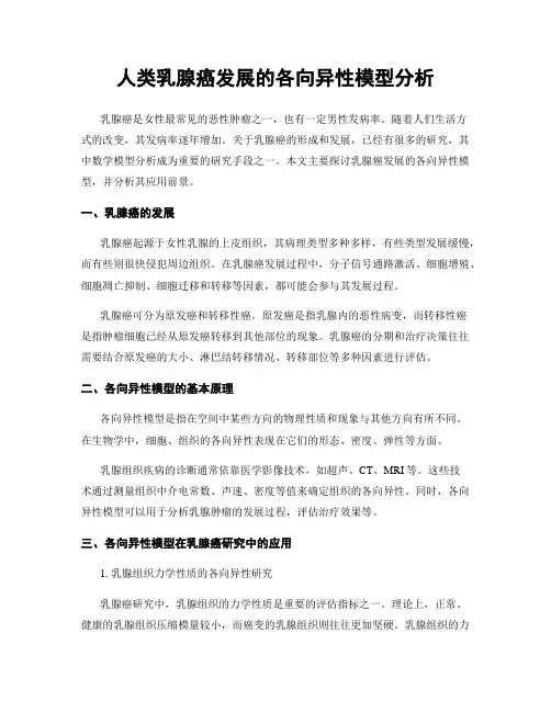 人类乳腺癌发展的各向异性模型分析