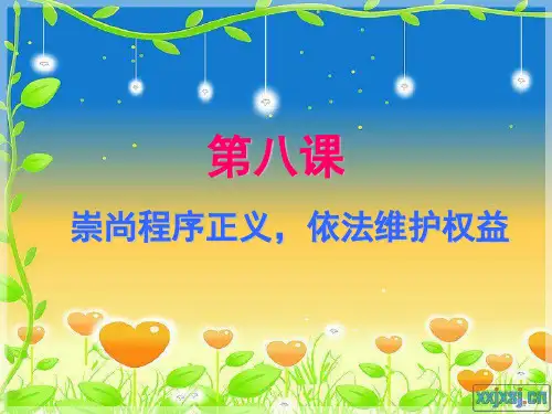 第八课 崇尚程序正义,依法维护权益
