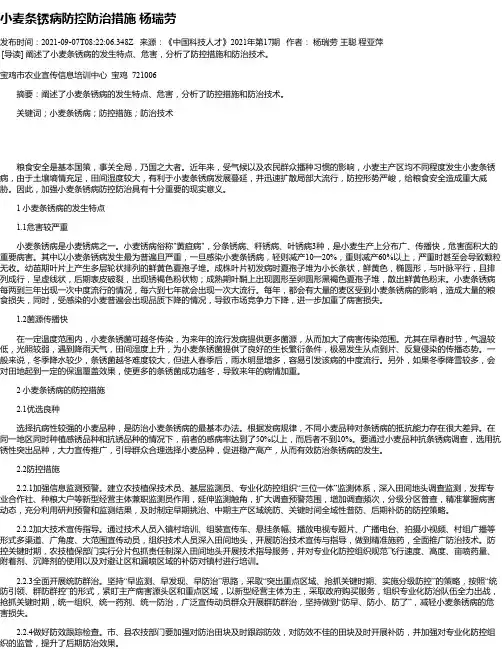 小麦条锈病防控防治措施杨瑞劳