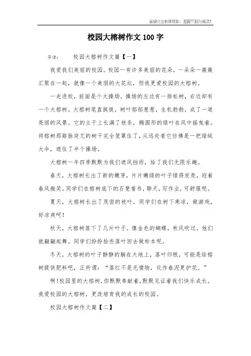 校园大榕树作文100字
