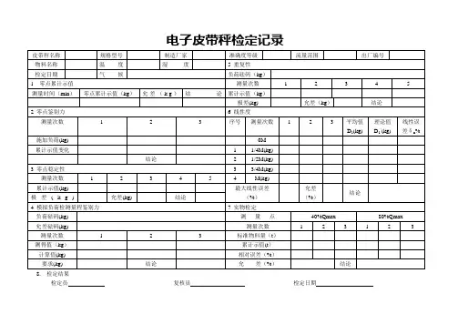 电子皮带秤检定记录