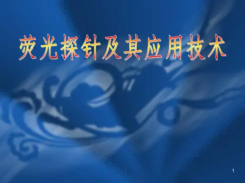 荧光探针应用技术ppt课件
