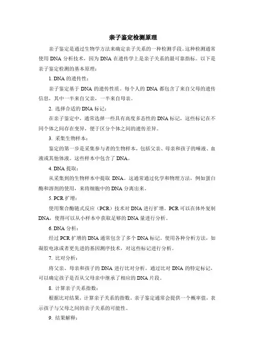 亲子鉴定检测原理