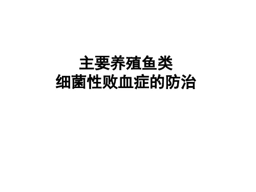 主要养殖鱼类细菌性败血症的防治