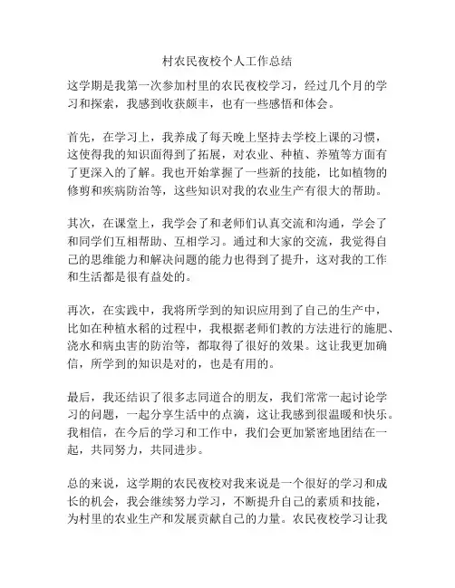 村农民夜校个人工作总结