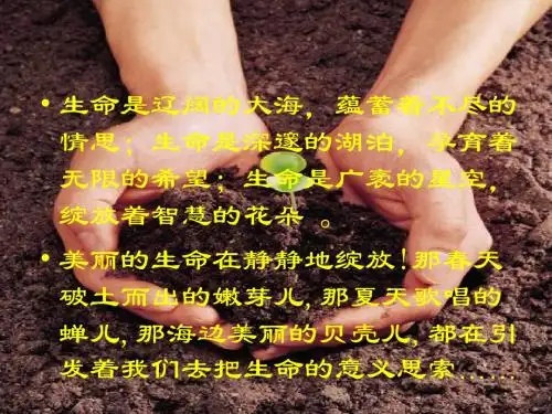 贝壳PPT课件3 人教版 (共13张PPT)