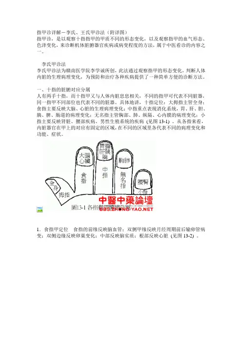 指甲诊详解