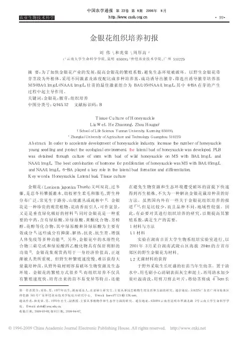 金银花组织培养初报