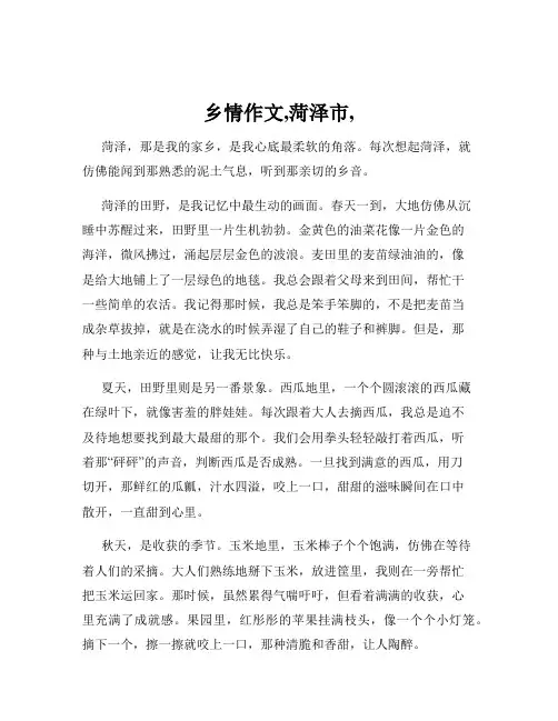 乡情作文,菏泽市,