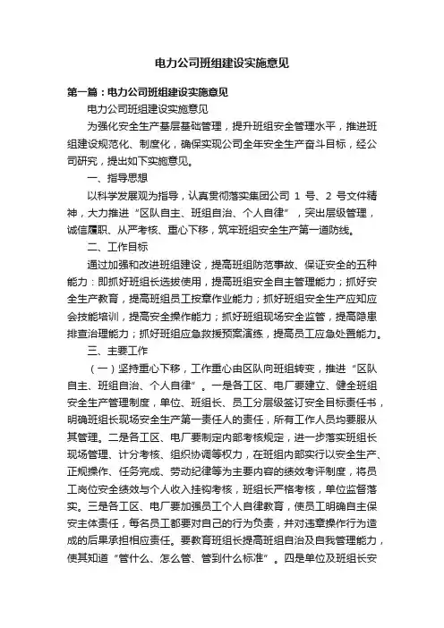 电力公司班组建设实施意见