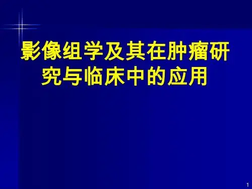 影像组学及其在肿瘤研究与临床中的应用PPT精选课件