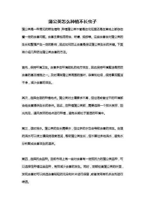 蒲公英怎么种植不长虫子