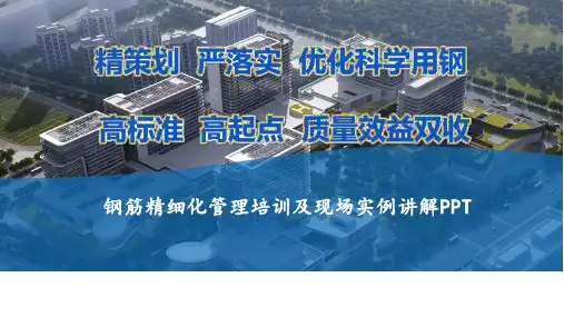 中建钢筋精细化管理培训及现场实例讲解PPT (1)全文