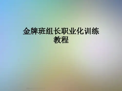 金牌班组长职业化训练教程