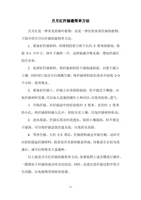 月月红扦插最简单方法