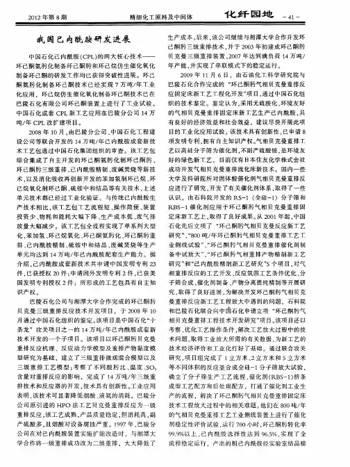 我国己内酰胺研发进展