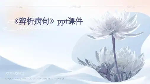 《辨析病句》课件