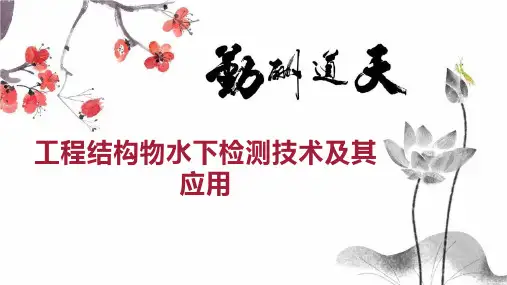 工程结构物水下检测技术及其应用