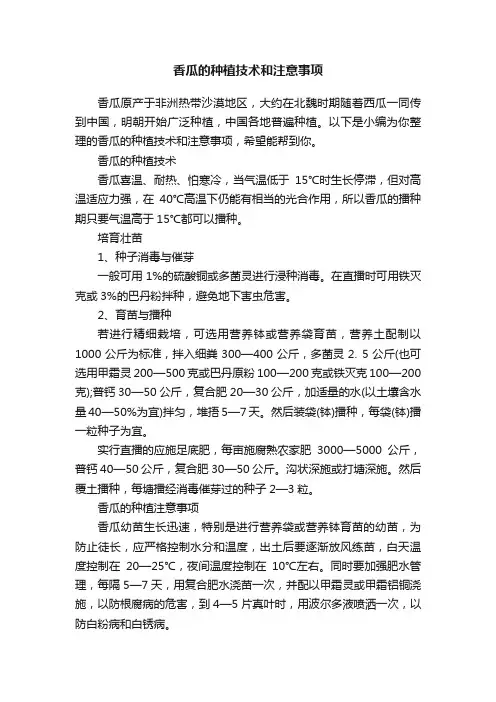 香瓜的种植技术和注意事项
