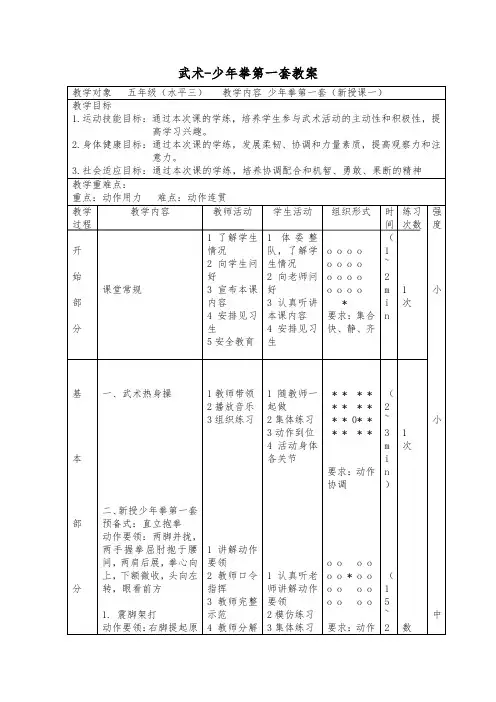 武术-少年拳第一套教案
