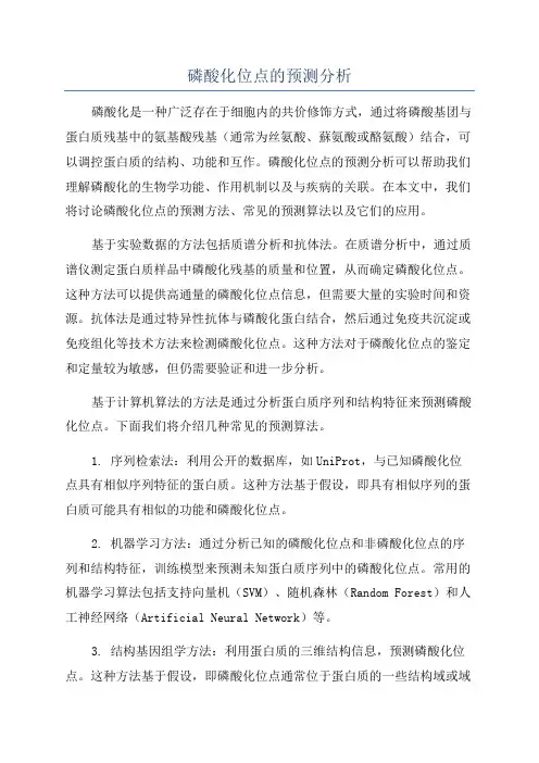 磷酸化位点的预测分析