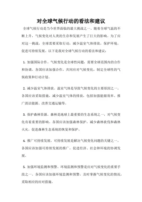 对全球气候行动的看法和建议