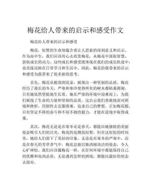 梅花给人带来的启示和感受作文
