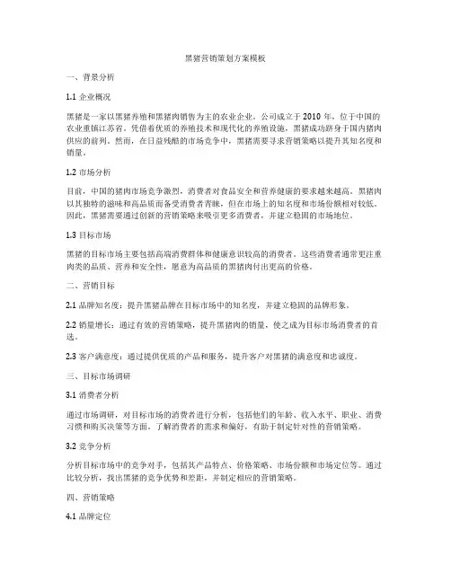 黑猪营销策划方案模板