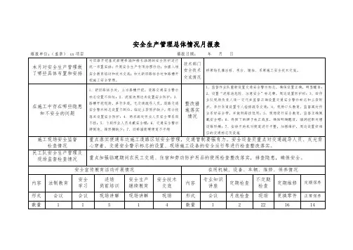 安全生产管理总体情况月报表