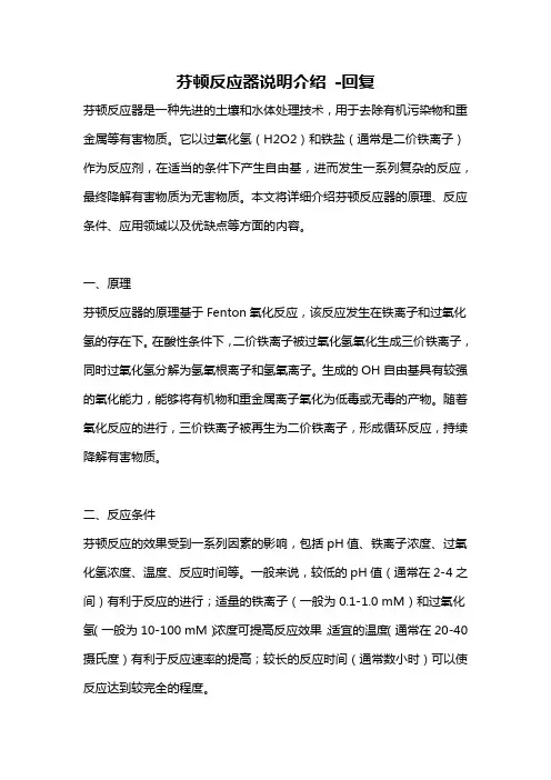 芬顿反应器说明介绍 -回复